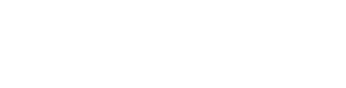 LOGO NEMESIS MAIN HEADER
